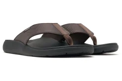ABEO Alpha Metatarsal