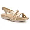 ABEO Oasis Slingback Metatarsal